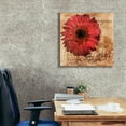 thumbnail image 3 of Epic Graffiti 'Gerbera Italia'  by Art Licensing Studio Canvas Wall Art, 26" x 26", 3 of 8