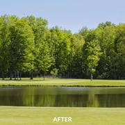 Airmax EasyKlear Defense 2 in 1 Granular Pond Algae Control, Effective & Fast Acting Algaecide, Aquatic Weed Treatment for Clear Water in Ponds & Fountains, Use as Directed, 15 lbs