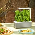 thumbnail image 2 of Click and Grow Smart Garden 3 Indoor Gardening Kit - Open Box, 2 of 4
