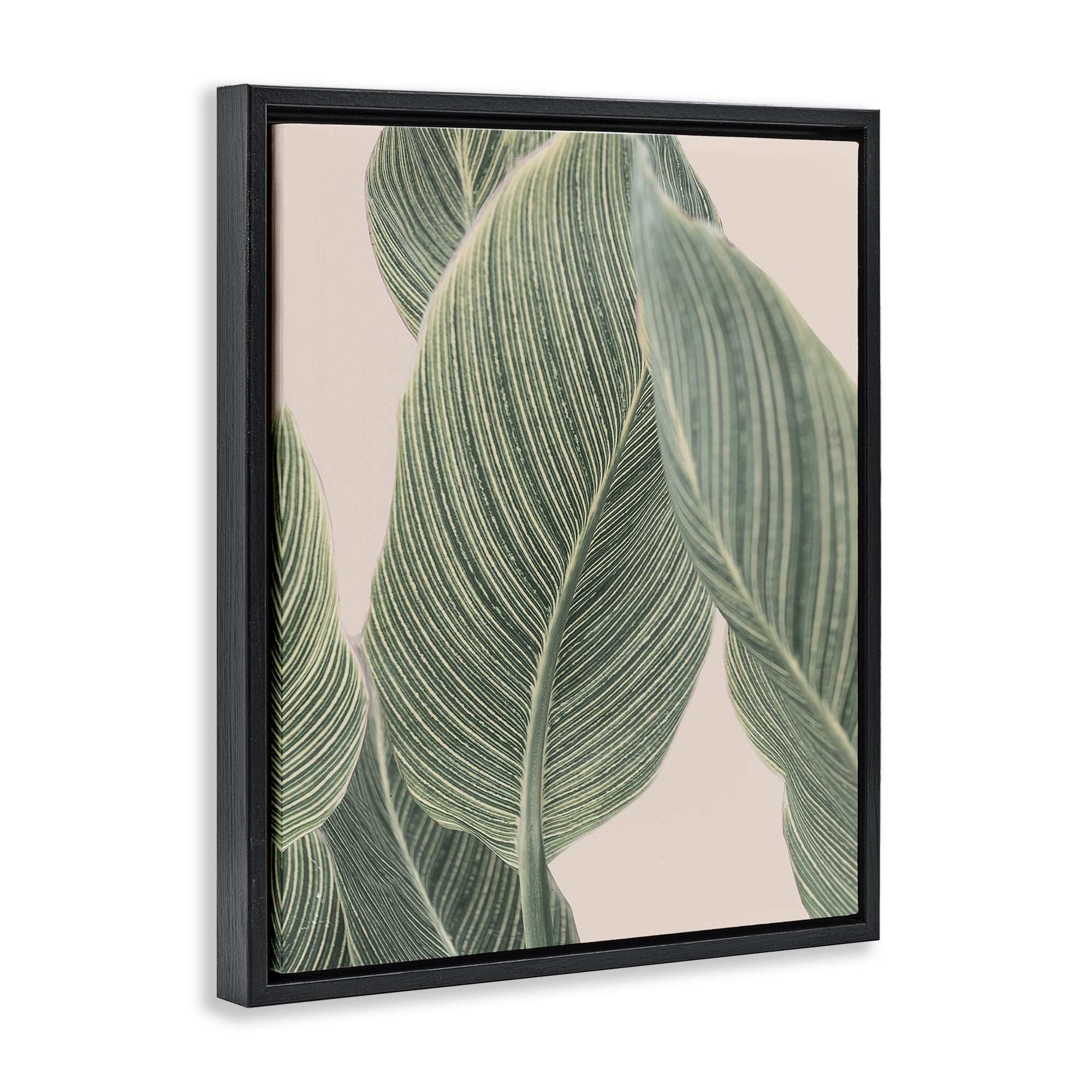 Stupell Industries Curled Green Leaves Plants & Flowers Painting Black Floater Framed Canvas Art Print Wall Art, 25 x 31