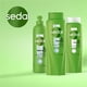 thumbnail image 4 of Tratamiento Acondicionador Sedal Tratamiento Acondicionador 620 ml, 4 of 6