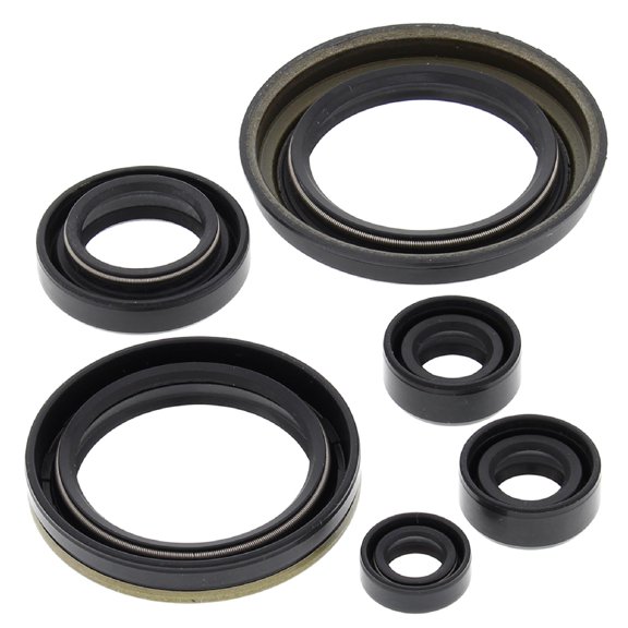 Winderosa 822280 Oil Seal Kit