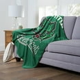 thumbnail image 2 of The Northwest 1COL-23600-0162-OOF 50 x 60 in. NCAA Binghamton University Alumni Silk Touch Throw Blanket, 2 of 5