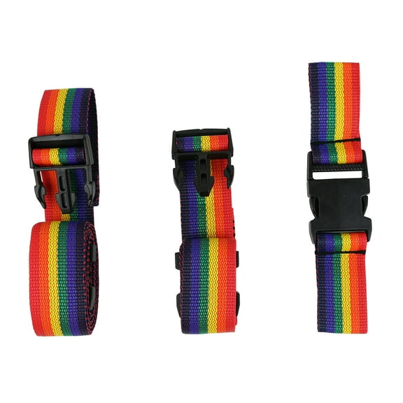 Full support swing seat, Accessory, Harness for small swing seat