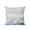 Lake blue, variant on 1 Pack Outdoor Throw Pillow, Coastal Coral Waterproof Pillow with Insert Included, Ocean Starfish Beach Conch Mist Lake Blue Wood Decorative Accent Cushion Sofa Pillows for Patio Porch, 16 x 16 In