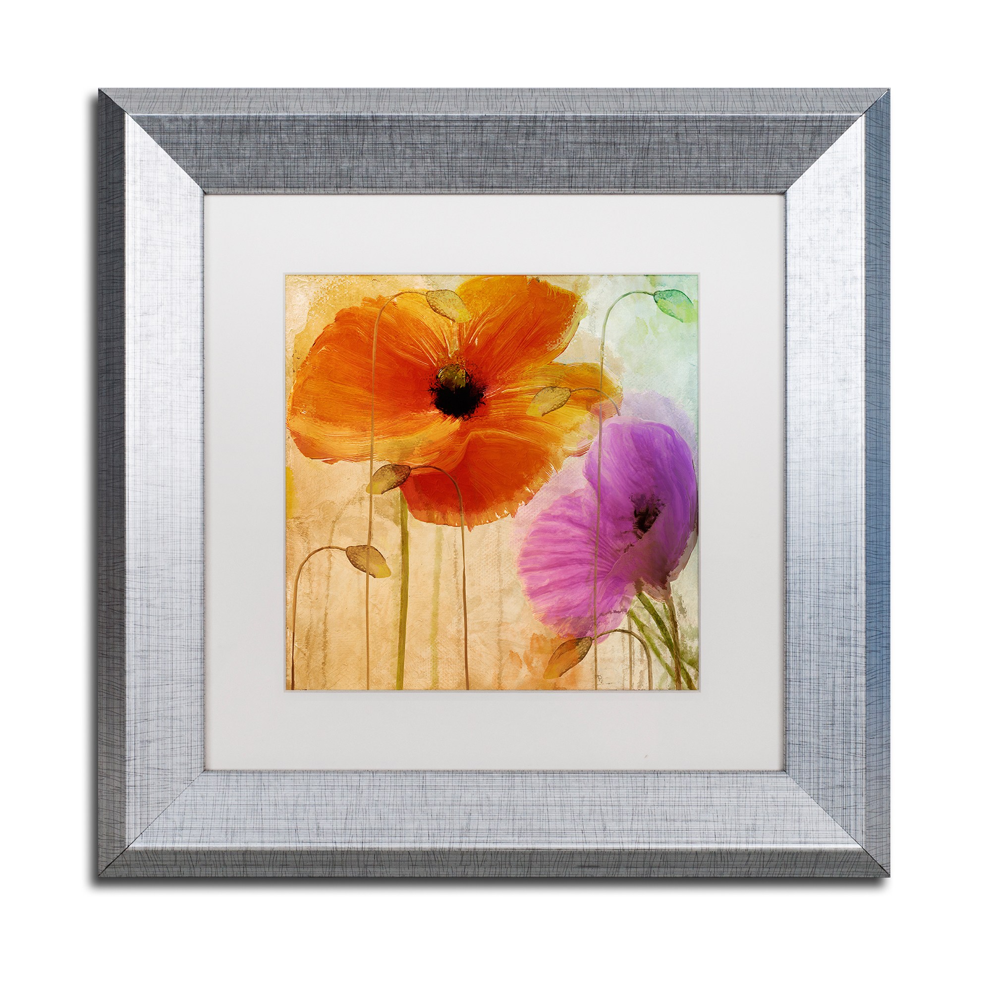 Trademark Fine Art "Penchant For Poppies II" Canvas Art by Color Bakery White Matte, Silver Frame