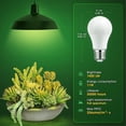 thumbnail image 2 of Grow Light Bulbs, LED Grow Light Bulb A19 Bulb, Full Spectrum Grow Light Bulb, Plant Light Bulbs E26 Base, 11W Grow Bulb 100W Equivalent, Grow Light for Indoor Plants, Seed Starting, 2Pack, 2 of 7
