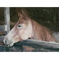 thumbnail image 2 of Stellar Design Studio 18x15 White Modern Wood Framed Museum Art Print Titled - Dixie, 2 of 4