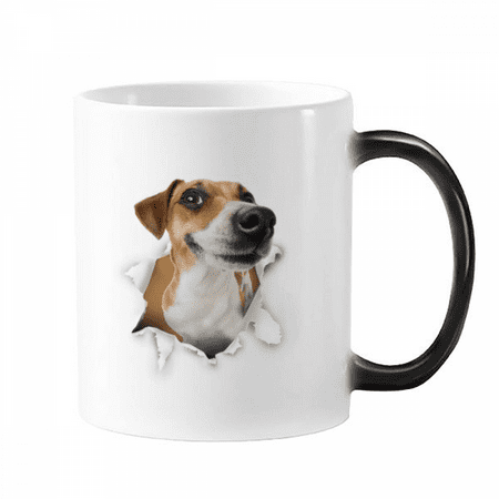 

Animal Paper Breaking Shock Pride Mug Changing Color Cup Morphing Heat Sensitive 12oz