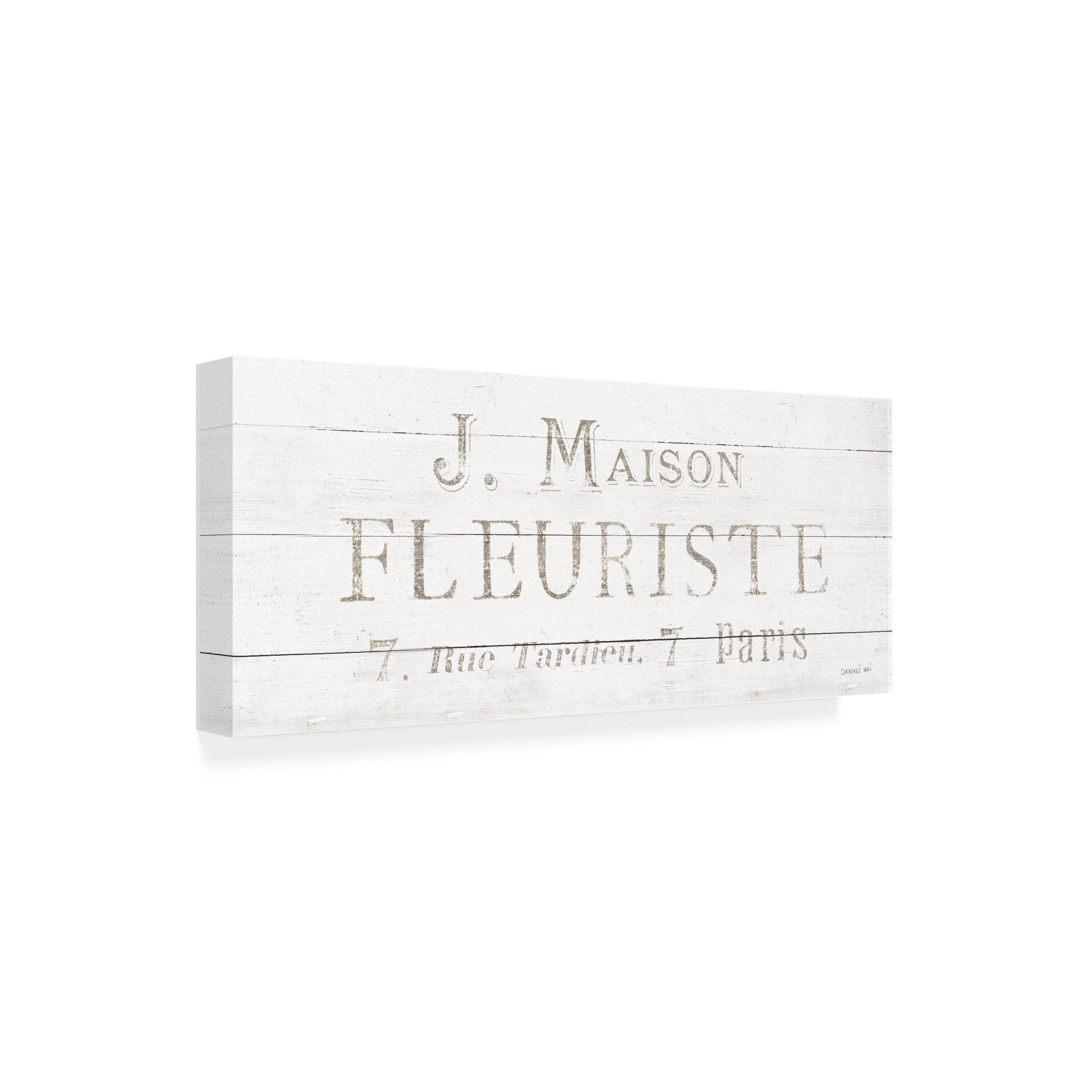 Trademark Fine Art 'Maison des Fleurs X' Canvas Art by Danhui Nai