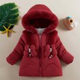 thumbnail image 2 of Toddler Girls Winter Coat Girls Winter Coat Fleece Lined Thickened Kids Long Sleeve Hooded Jackets Coat Cotton Full Zip Hoodies Jacket Winter Down Coats Red 2T, 2 of 4