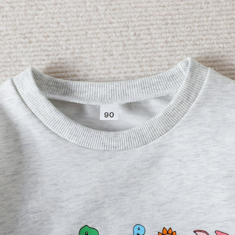 fvwitlyh Boys Sweatshirts 2 Year Old Hoodie Toddler Cartoon Prints Outfits Boys Sweatshirt Pullover Hoodie Tops Boy Clothes