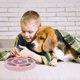 thumbnail image 4 of Juguete interactivo para perros, juguetes educativos para perros, juguetes para perros de alimentación lenta, juguetes educativos para mascotas para gatos y perros (rosa), 4 of 4