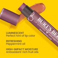 Burt's Bees Shimmer Lip Tint Set, Tinted Lip Balm Stick, Moisturizing