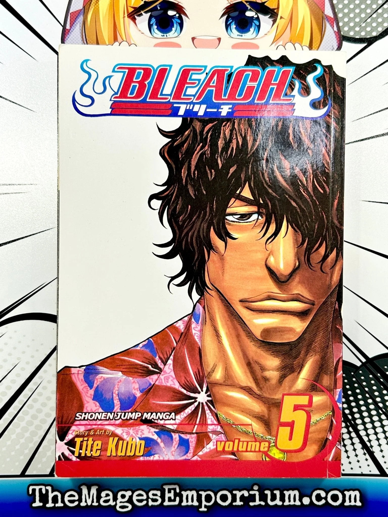 Bleach: Bleach, Vol. 5 (Series #5) (Paperback) - Walmart.com