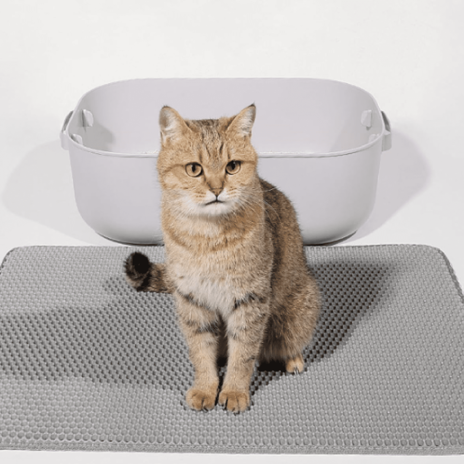 Cat Litter Mat, 45x26 Inch Extra Large&Long Double Layer Cat Litter Box Mat, EVA Non-Slip, Waterproof Urine Proof Litter Trapping Mat, Easy Clean Scatter Control (45x26 Inch, Gray)