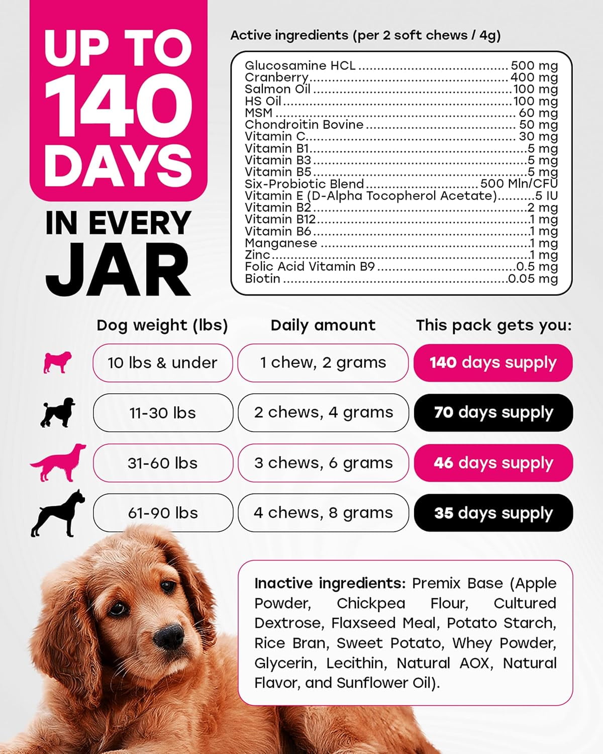 Pup Choice 24-in-1 Multivitamin Chews for Dogs with Glucosamine, Omega-3 & Probiotics – Joint, Skin, Coat & Immune Support, Bacon Flavor, 140 Count