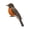 D(Right), variant on Liaiai Wooden Bird Door Topper, Rustic Woodland Bird Door Corner Home Decor, Cute Nature Accent for Cabin Farmhouse Bedroom Hallway Office Door Frame Decoration