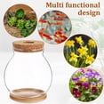 thumbnail image 2 of MasteelfCA Desktop Fish Bowl Hydroponic Terrarium Glass Small Fish Tank with Bamboo Cushion, 2 of 9