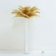 thumbnail image 2 of Efavormart 12PCS 13"-15" Fabulous Natural Ostrich Feathers Plume for Wedding Centerpieces Home Decoration - Gold, 2 of 10