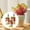 melon d\'eau Rouge, variante sur Enracinement pour Boutures, Supplément d'Amélioration de la Croissance des Plantes Prise de Racines Supplément d'Enracinement pour Repiquage les Semis Favorise l'Enracinement Faire Pousser de Nouvelles Plantes à Partir de Boutures 50 ml, Outil d'Enracinement