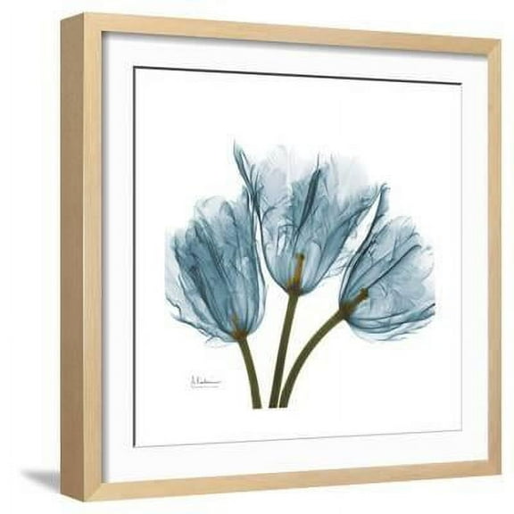 Tulips Blue, Botanical Framed Art Print Wall Art by Albert Koetsier Sold by Art.Com
