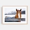thumbnail image 2 of Keep Warm - Pennsylvania Photography Unframed Wall Art Print 5 x 7 inches, 2 of 7