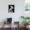 thumbnail image 3 of Art.com Tulip Tres BW Stretched Canvas Print Wall Art by Albert Koetsier, 18" x 24", 3 of 4