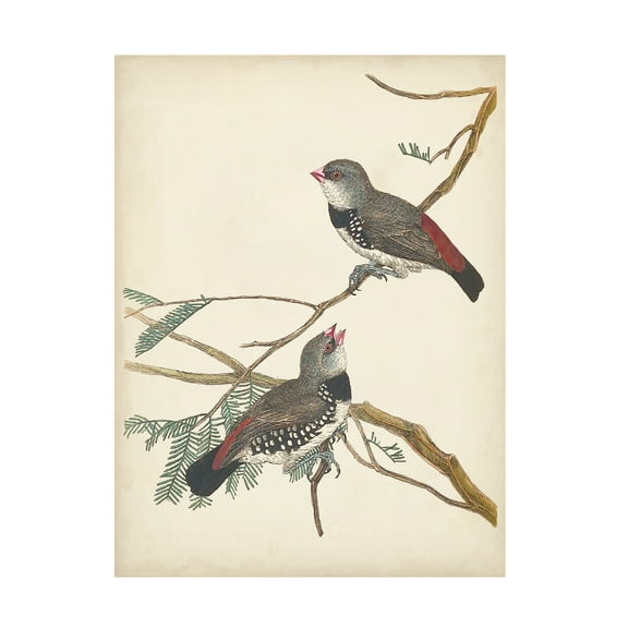 Vision Studio 'Graceful Birds I' Canvas Art