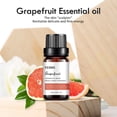 thumbnail image 4 of Fiudx Aceite Capilar de Jengibre, Tratamiento Nutritivo para El Cuero Cabelludo, Aceite Facial Hidratante, Cuidado Fortalecedor de Uñas, Uso para Cabello, Piel y Uñas, Ritual de Autocuidado, 10 Ml de, 4 of 6