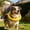 C, variant on Dog Flying Disc Dog Chew toy,Dog toys for Aggressive Chewers Floating Dog Ring/Fetch toys for Medium/Large Breeds interactive Dog Pool Float Durable toy for Training and Teeth Cleaning,11"