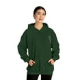 thumbnail image 5 of UFO Alien Abundance Mindset Unisex Heavy Blend™ Hooded Sweatshirt, 5 of 9