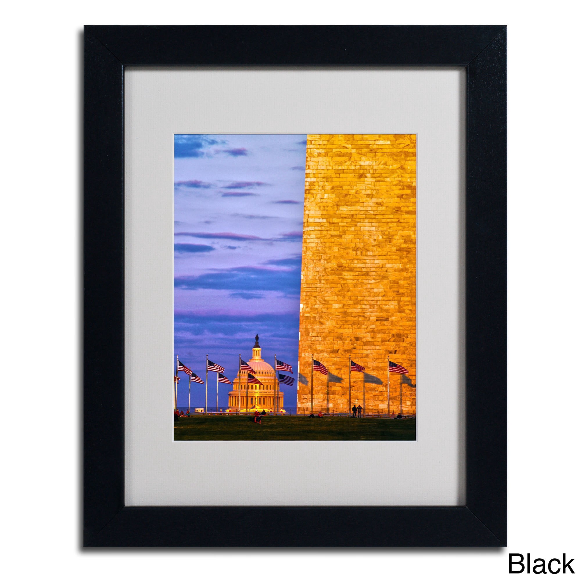 Trademark Fine Art "America" Canvas Art by CATeyes, Wood Frame