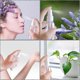 thumbnail image 4 of Spray Bottles, 75ml Clear Empty Fine Mist Plastic Travel Atomiser Bottle Set, Small Refillable Liquid Containers with 1pc Funnels (2PCS), 4 of 5