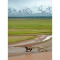 thumbnail image 2 of Zwick, Martin 25x32 White Modern Wood Framed Museum Art Print Titled - Horses in the Alay Valley and the Trans-Alay Range in the Pamir Mountains, 2 of 4