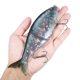 thumbnail image 4 of Cebos TARUOR Glider Señuelos de Pesca 178mm Glide Bait Articulado Swimbait Señuelos duros artificial Taruor  Cebos, 4 of 7