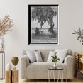 thumbnail image 4 of Historic Framed Print, Glimpse of Lake Eola, Orlando, Fla., 17-7/8" x 21-7/8", 4 of 9