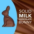 thumbnail image 2 of Dove Solid Milk Chocolate Bunny Easter Candy - 4.5 oz, 2 of 5