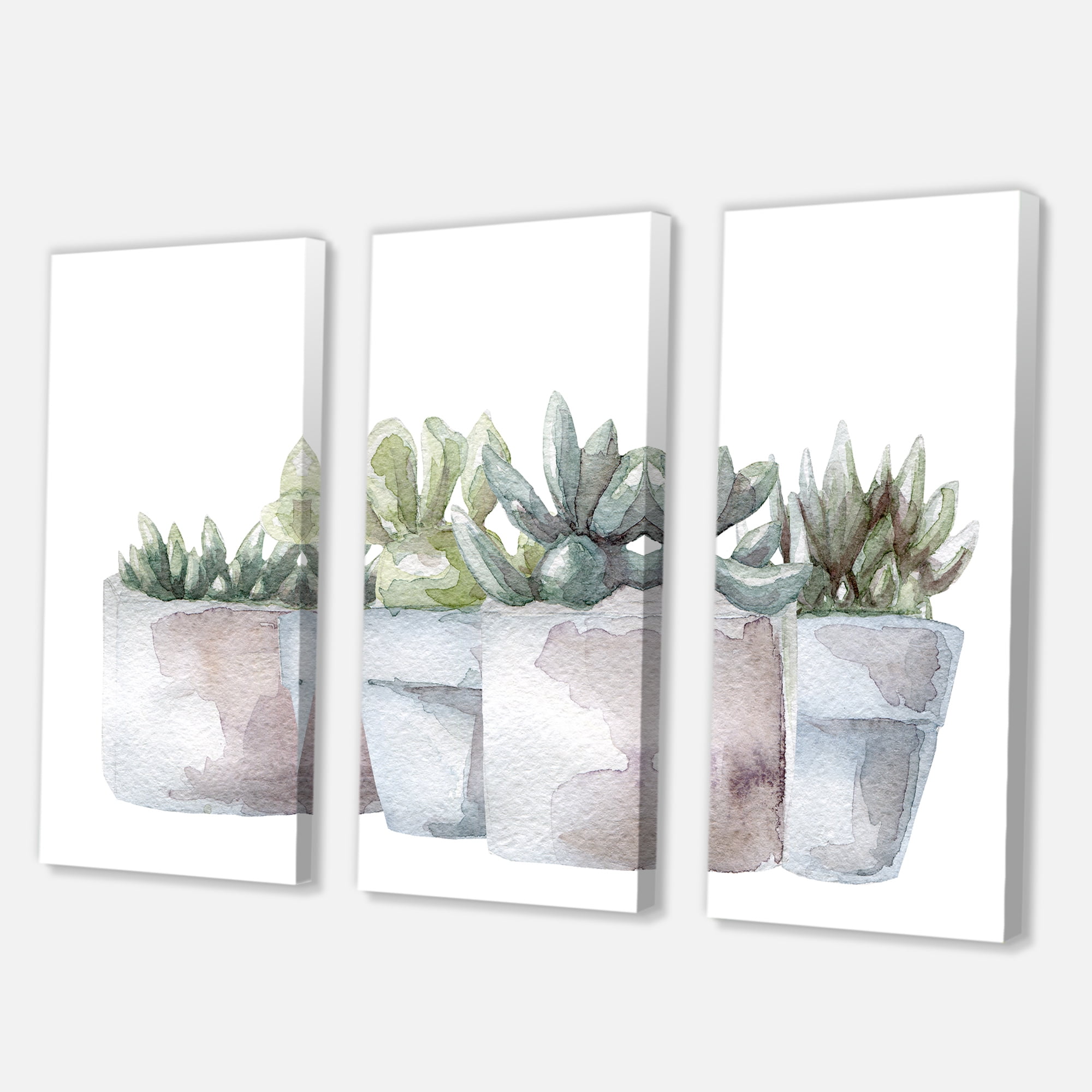 Designart ' Succulent and Cactus House Plants III ' Farmhouse Canvas Wall Art Print