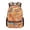 Cartoon Capybara, variant on Jeiento 16 Inch Kids School Backpack Water-Resistant Polyester Capybara Lemon Bookbag for Boys Girls, Elementary & Middle School Back to School