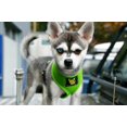 thumbnail image 4 of Arnés para perros EcoBark Max Comfort, ecológico, pequeño, verde, 4 of 8