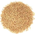 Clover Seeds for Sprouting (25 Pounds) - Walmart.com