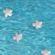 thumbnail image 3 of Paquete de 10 Scumbug para bañera de hidromasaje, accesorios para almohadillas absorbentes de aceite, esponja de limpieza de jabón, para el hogar, piscina y spa (estrella de mar) TUNC Sencillez, 3 of 5