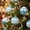 485#Blue, variant on 9 Pack 8cm Knitted Pattern Foam Christmas Baubles, Drop Resistant Vintage Textured Multicolor Balls, Pre Looped Versatile Accents for Holiday Tree Mantel Handmade Craft Projects