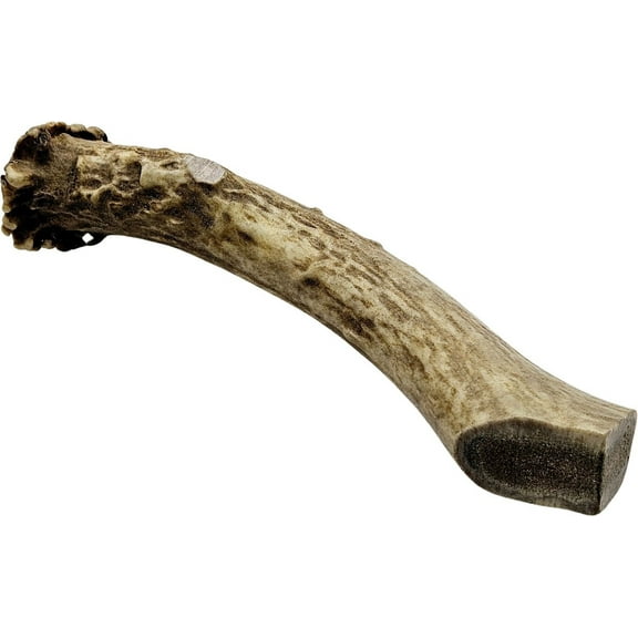 The Treat Shack Whole Naturally Shed 7-in Deer Antler Dog Treats, Large, 1CT