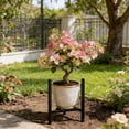 thumbnail image 6 of Multi-Tier Plant Display Rack, 9.1 to 12.6 Inches Flowerpot Holder for Living Room, Garden, or Office, Elegant Home Plant Rack for Indoor and Outdoor Décor, 6 of 7