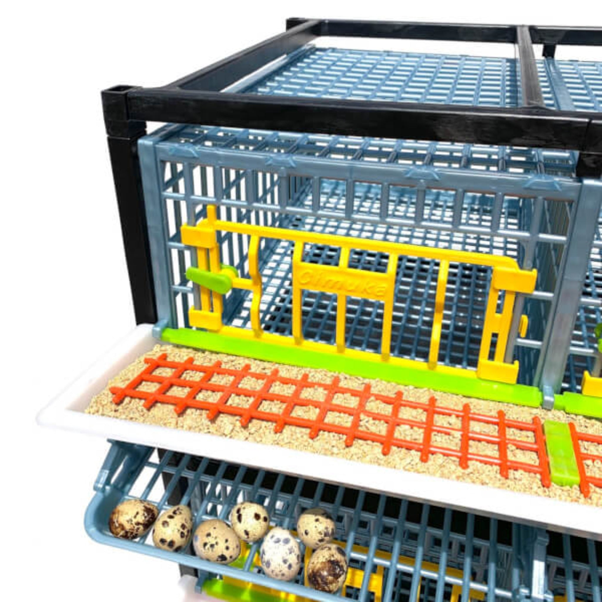 Hatching Time Quail Cage - 4 Layer (Power-Washable, Durable, ABS Plastic) | Cimuka