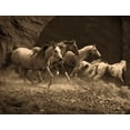thumbnail image 2 of Anonymous 32x25 Gold Ornate Wood Framed with Double Matting Museum Art Print Titled - Wild Horses II, 2 of 4