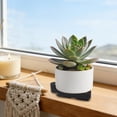 thumbnail image 4 of Large Plant Pot Feet Garden Pot Elevation Stands Drainage Pads Aeration Bases Modular Pot Lifters for Big Pots Indoor Outdoor （Black）, 4 of 6