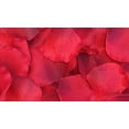 thumbnail image 2 of Red - 100 Silk Rose Petals Wedding Favors - Solid Colors - Wedding Reception and Party Supplies, 2 of 2